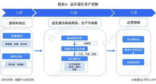 2023年中國益生菌行業全景圖譜 市場規模、競爭格局與發展前景分析
